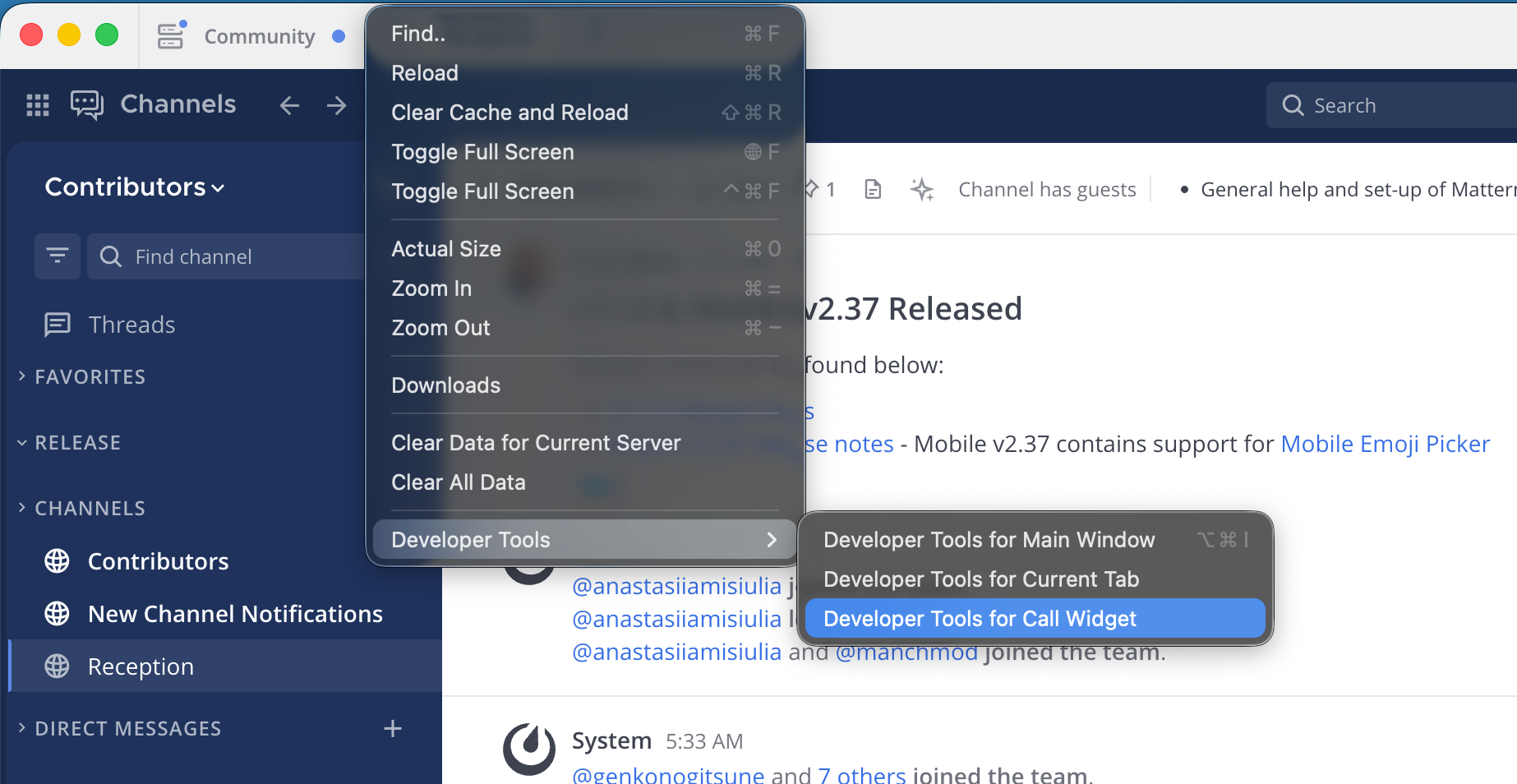 Developer Tools for Call Widget