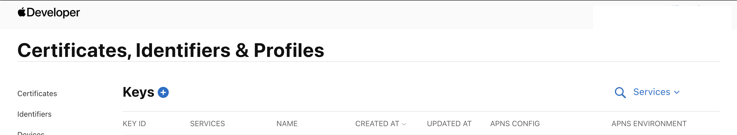 Apple Developer register new key