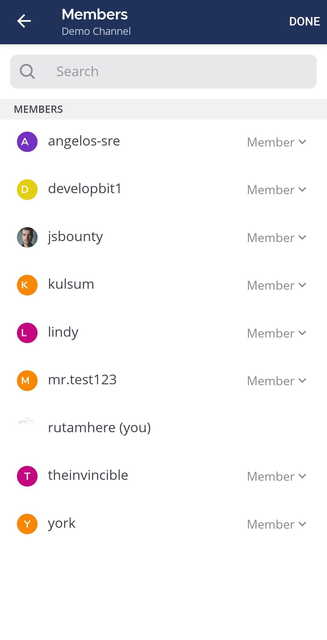 Tap on Manage to access the user role of the members.
